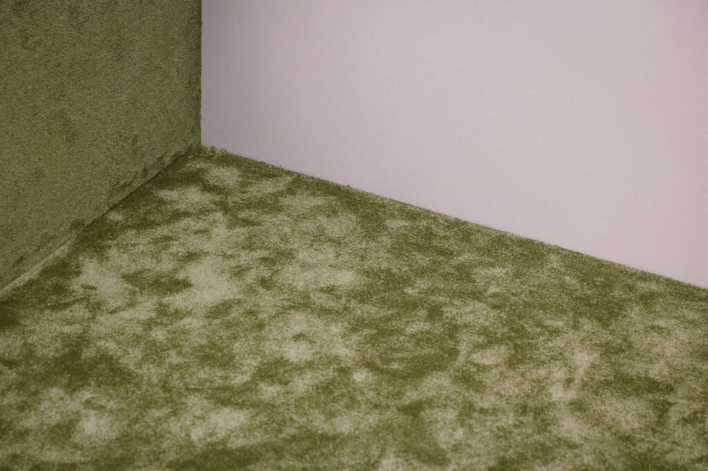 pexels-photo-1371634 A textured view of a green and white carpet meeting at the corner with a plain wall.